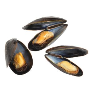 Canadian Mussels