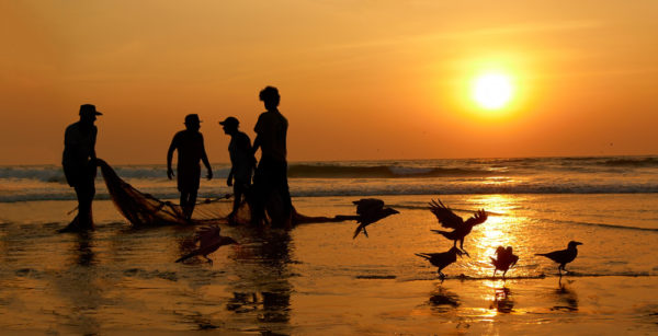 Fishermen Dragged Ashore Network Sunset The Arabian Sea