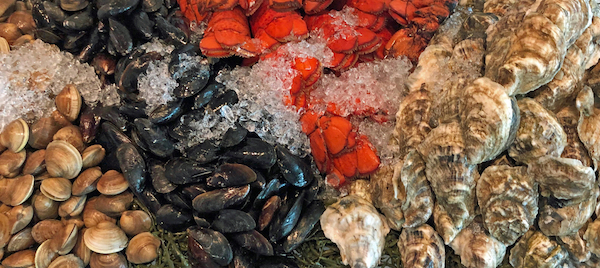 Raw seafood bar: clams, mussels, lobster tails, and oysters
