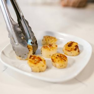 Scallops