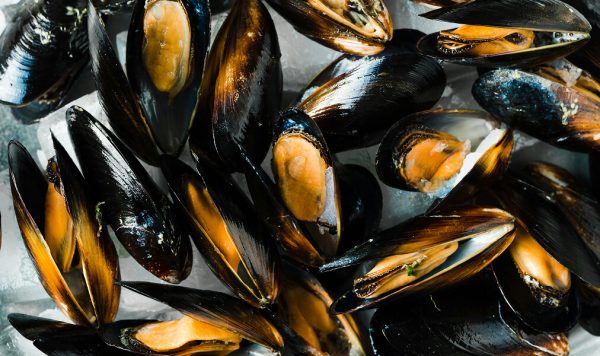 Chilean Mussels