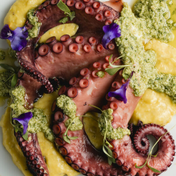 Whole Octopus