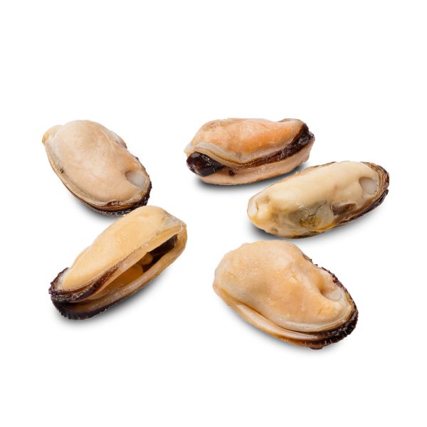 Cooked Mussel Meats