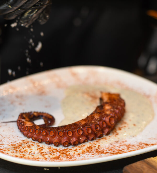 Octopus Tentacles