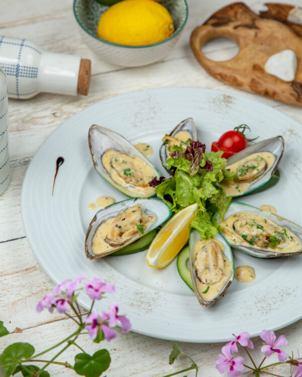 New Zealand Greenshell Mussels in the Half Shell