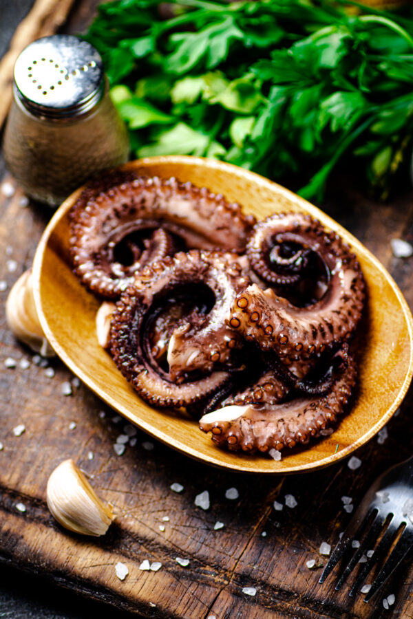 Octopus Tentacles