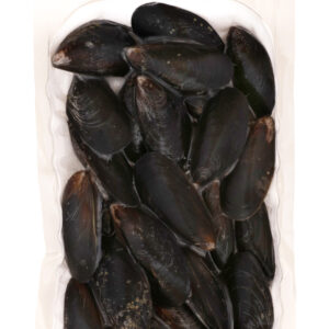 Chilean Mussels