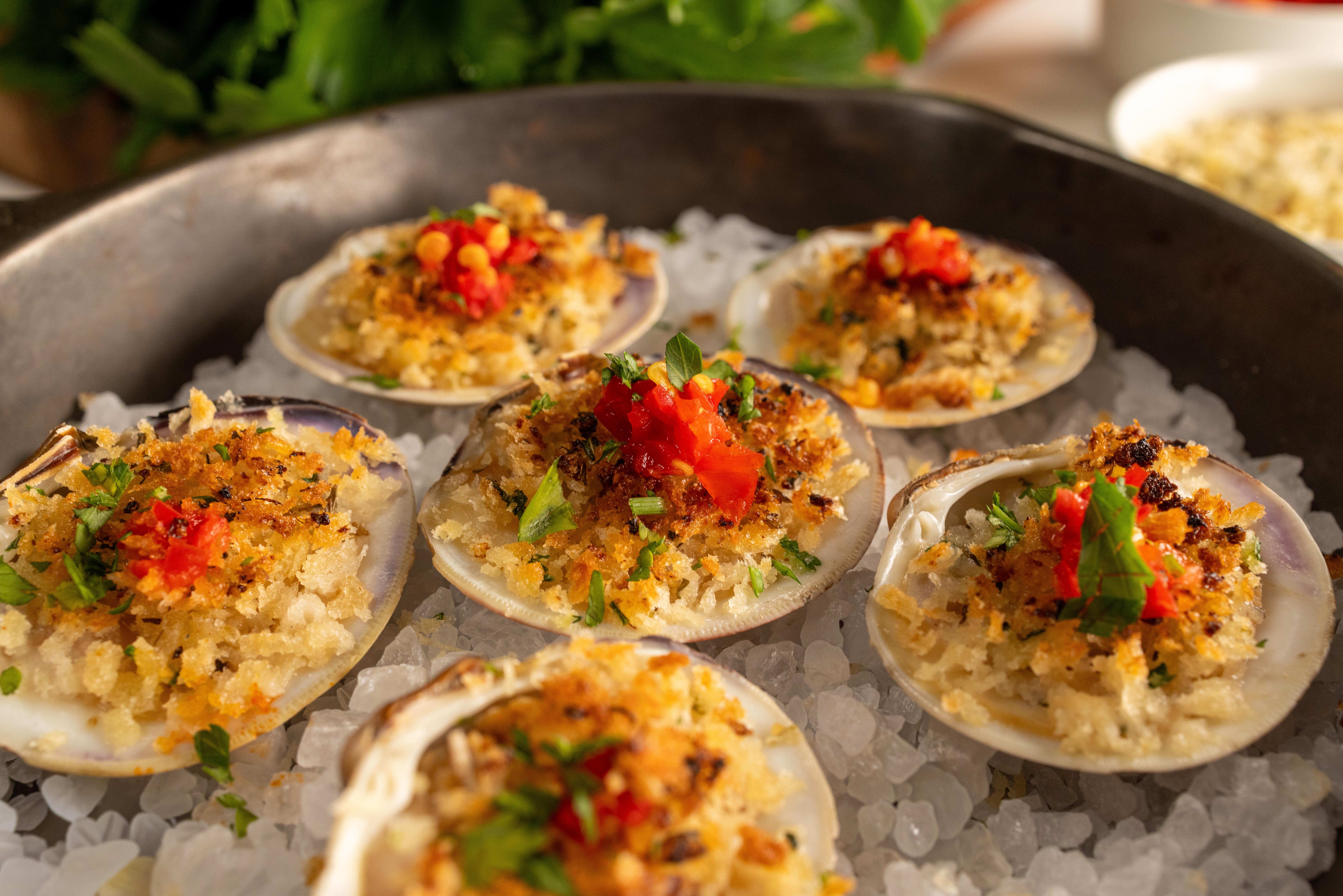 Cedar Key Clams